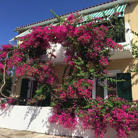 Casa Buganvilla Minia Exteriér fotografie