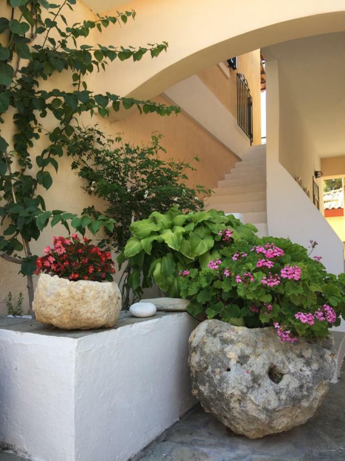 Casa Buganvilla Minia Exteriér fotografie